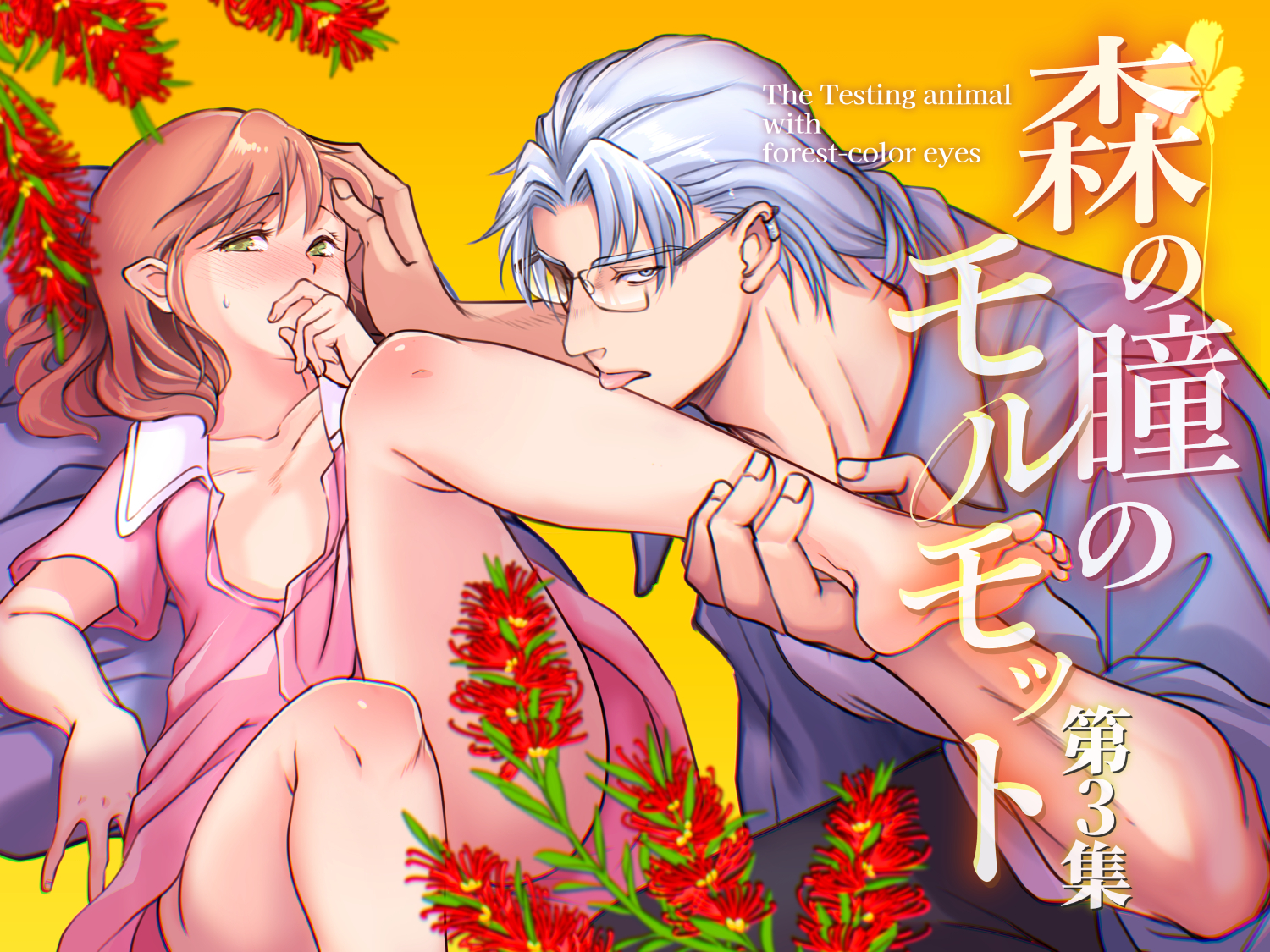 森の瞳のモルモット　-第３集-