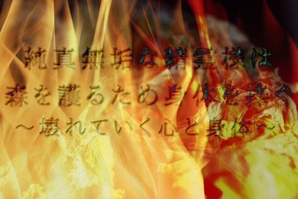 【人間3人×精霊陵辱4P】純真無垢な精霊様は森を護るため身体を捧ぐ〜壊れていく心と身体〜