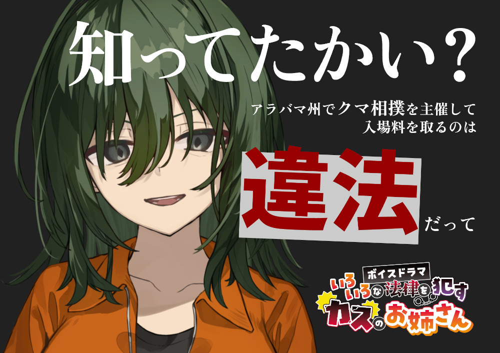 いろいろな法律を犯すカスのお姉さん