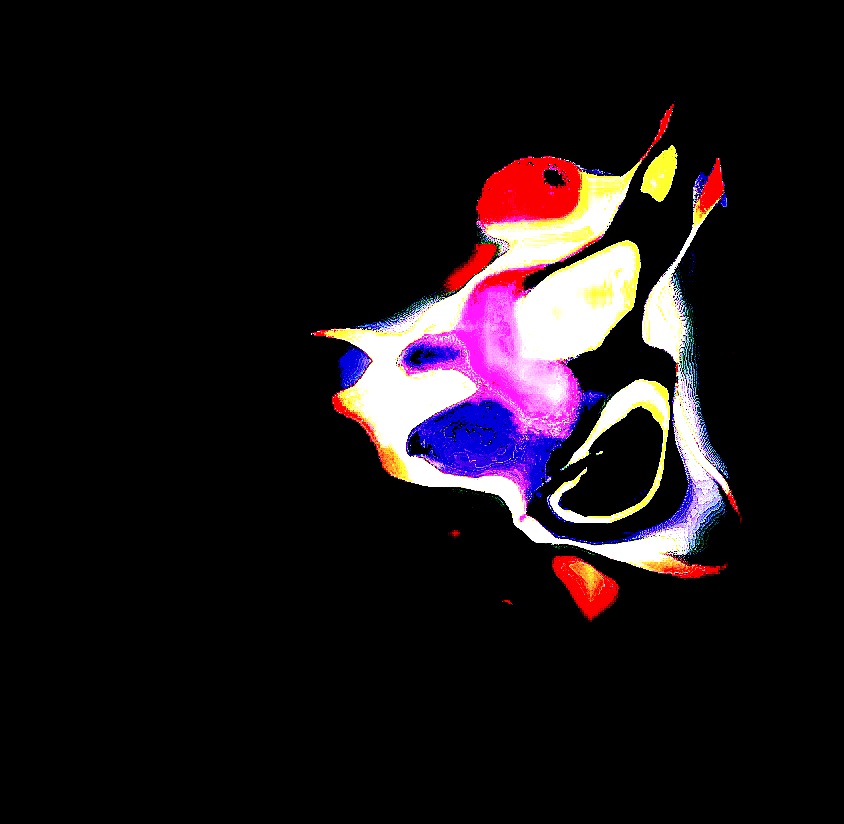 ワイトワレと