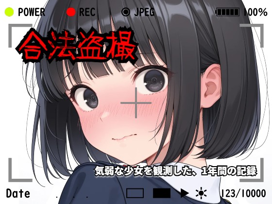 【羞恥体験告白】合法盗撮～気弱な少女を観測した、1年間の記録～