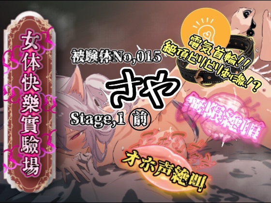 『女体快楽実験場』 被験体No，015「さや」Stage，1前編