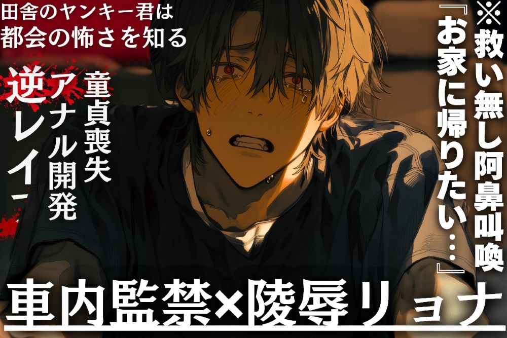 【田舎のヤンキー君は都会の怖さを知る】《車内監禁✖陵辱リョナ》※救い無し阿鼻叫喚※逆レイプ『お家に帰りたい…』アナル開発童貞喪失