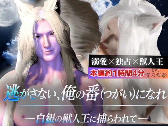 CV【獣人王/独占溺愛1時間】逃がさない、俺の番になれ ～白銀の獣人王に捕らわれて～【白銀髪/長髪/獣耳】