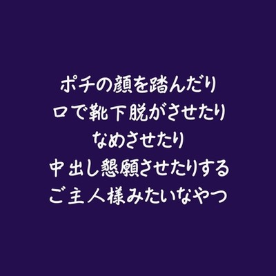 ポチの顔を踏んだり口で靴下脱がさせたりなめさせたり中出し懇願させたりするご主人様みたいなやつ（試用版）