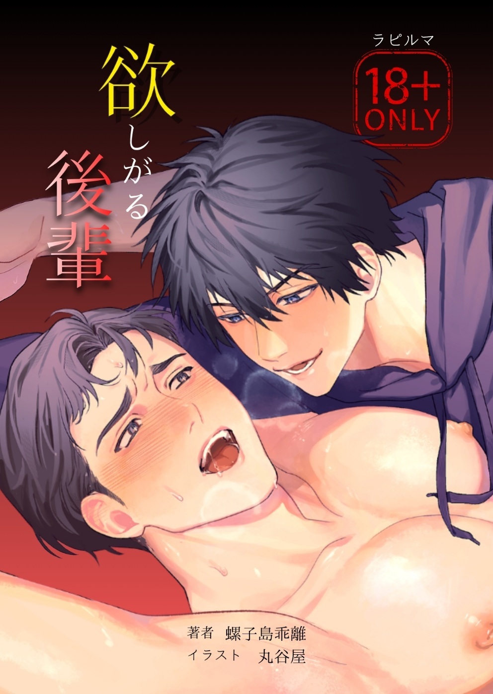 小説版『欲しがる後輩』
