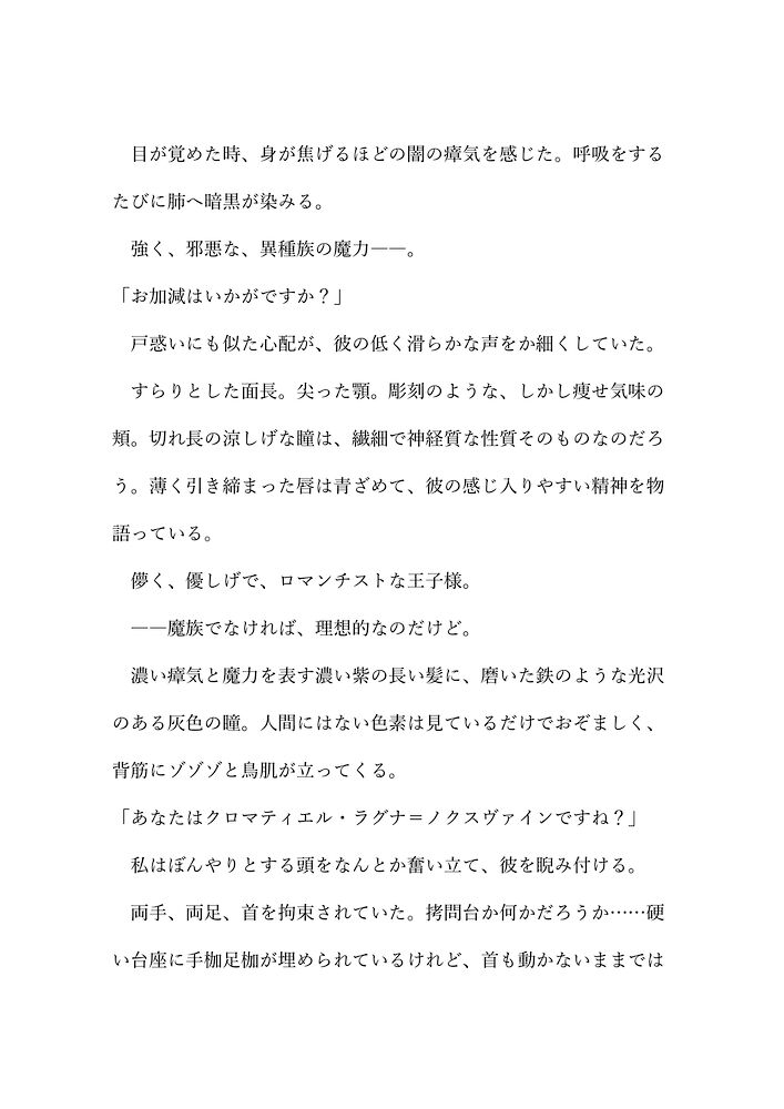 聖女、人格排出スライム浣腸で淫紋刻まれ性奴隷堕ち