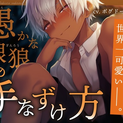 体験版