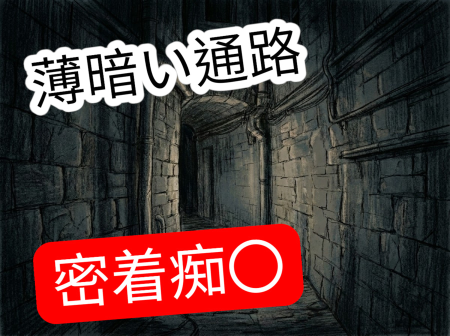 薄暗い通路で停電になり施設従業員からセクハラ痴漢されるお姉さん