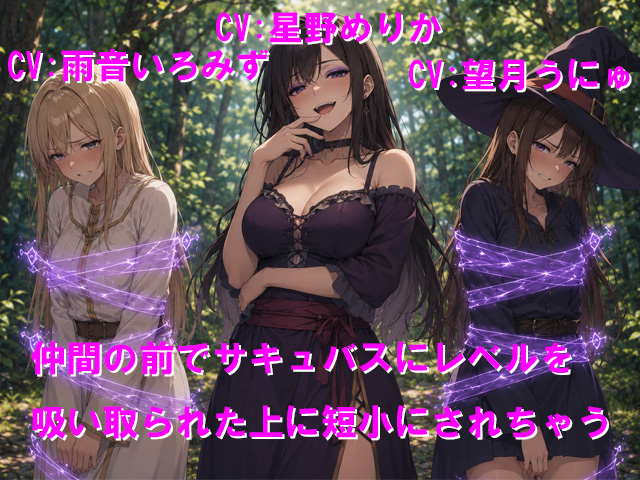 仲間の前でサキュバスにレベルを吸い取られた上に短小にされちゃう