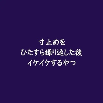 寸止めをひたすら繰り返した後イケイケするやつ（体験版）