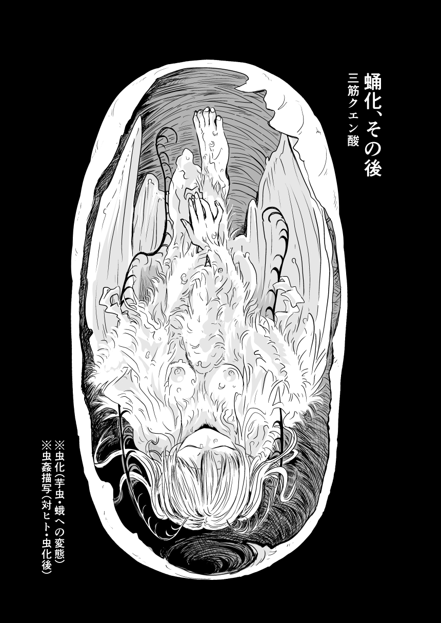 蛹化、その後