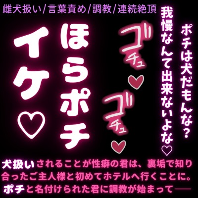 サンプル