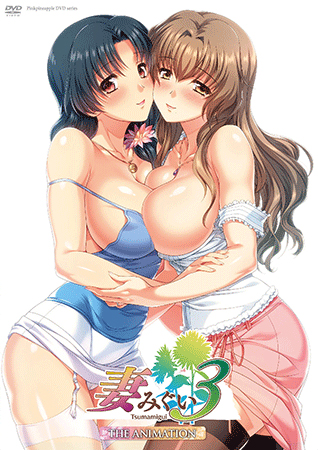 유부녀 훔쳐 먹기 3 THE ANIMATION