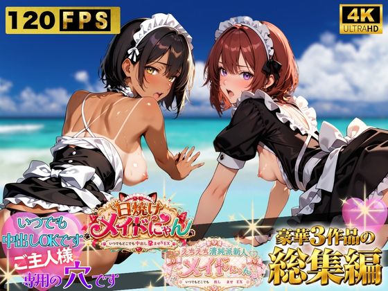 えちえちメイドにゃんシリーズ総集編 〜いつでもどこでも中出し孕ませSEX〜 ご主人様専用の穴です