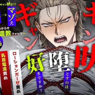 ギャンギャン吠える男を堕とすのは好きですか？