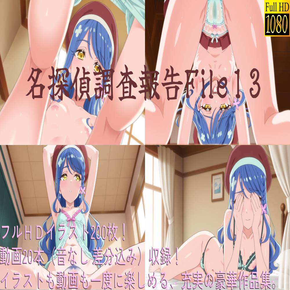 名探偵調査報告File13