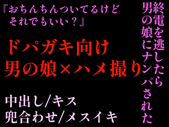 【ハメ撮り風/ドパガキ向け】終電を逃したら男の娘にナンパされた【男の娘/処女】