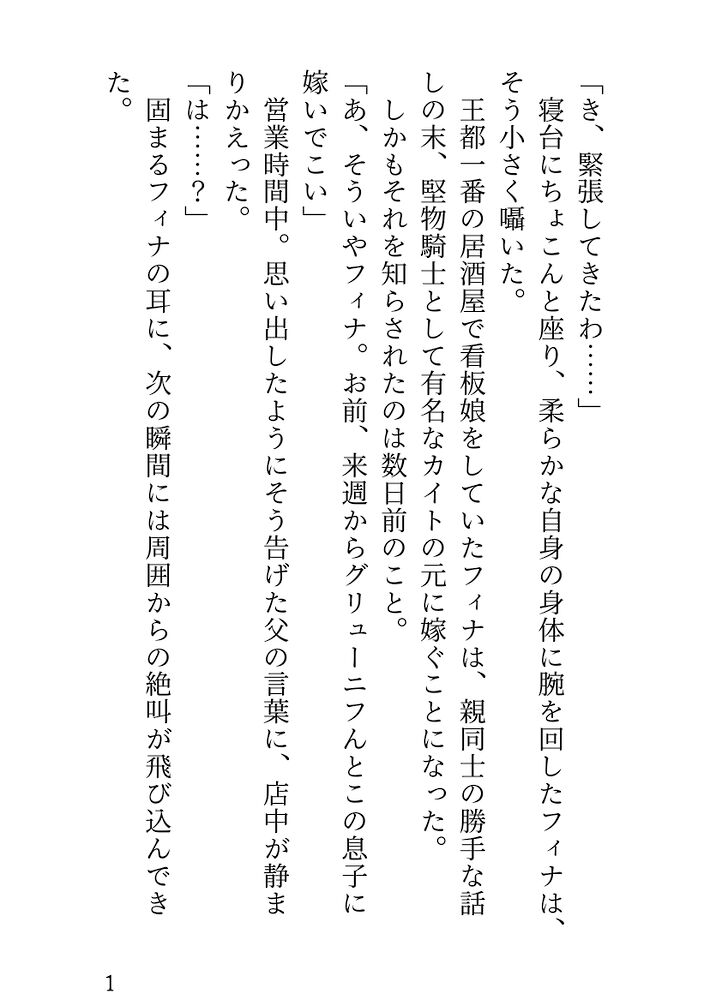 体験版
